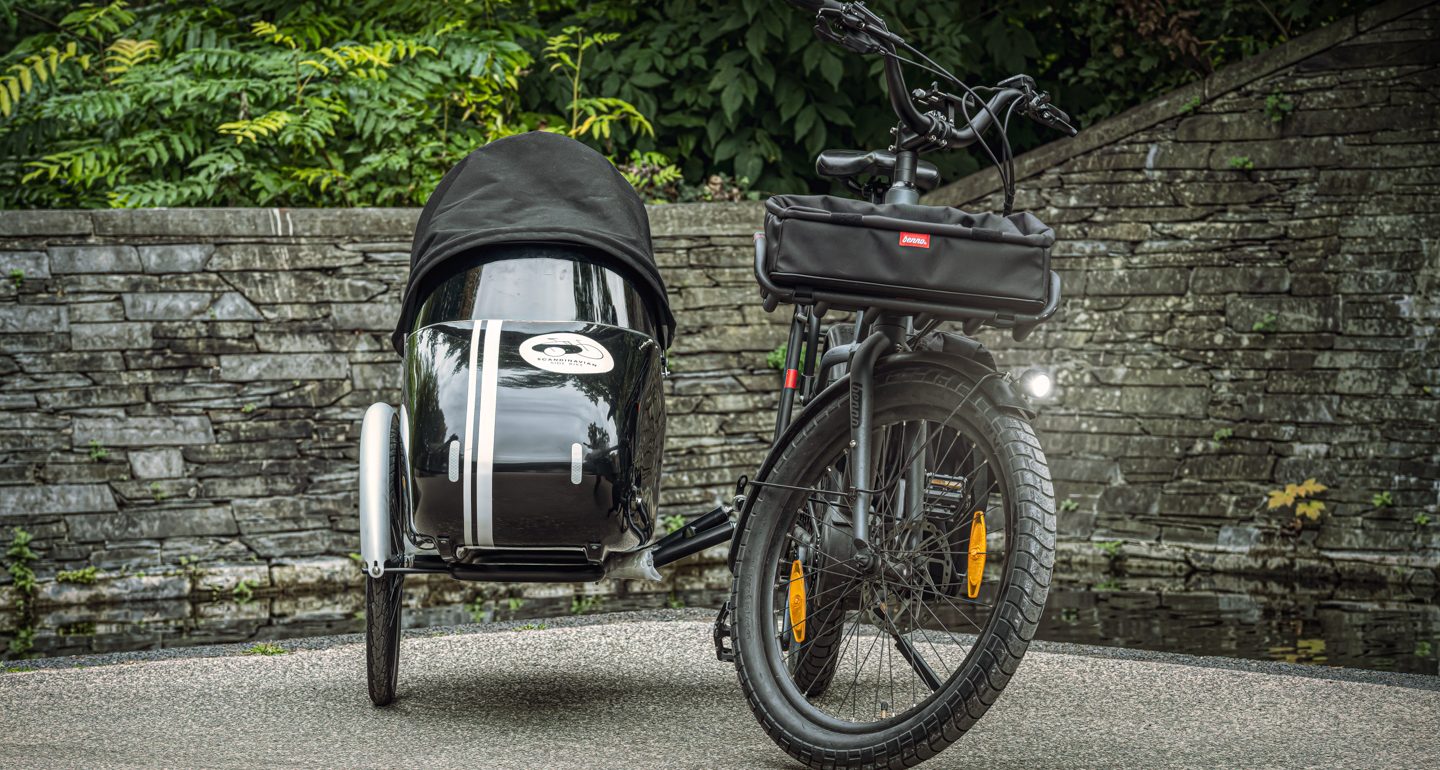 Scandinavian Side Bike